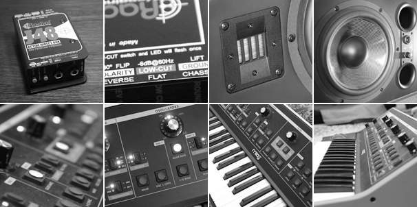 adam a8x, radial j48, moog little phatty
